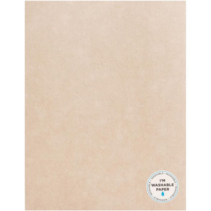 American Crafts Washable Matte Paper 8.5"X11" -Nickel