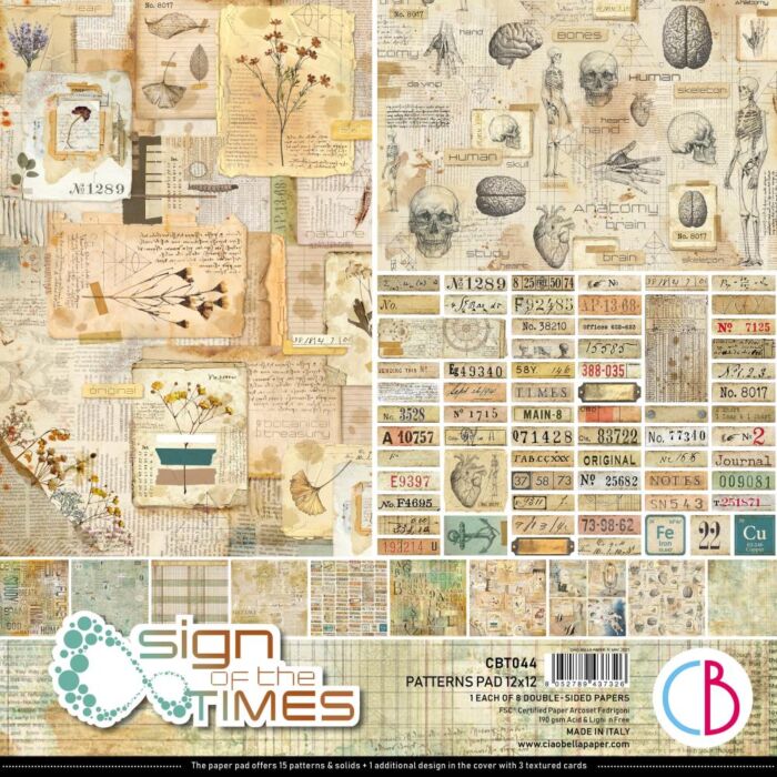 Ciao Bella Double-Sided Paper Pack 90lb 12"X12" 8/Pkg Sign Of The Times
