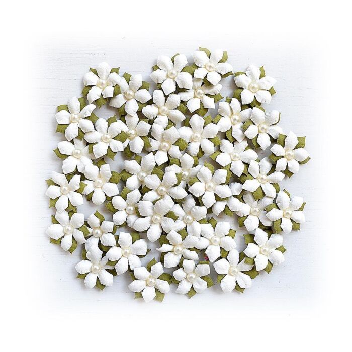 Little Birdie Elira Paper Flowers 40/Pkg-Shabby Chic