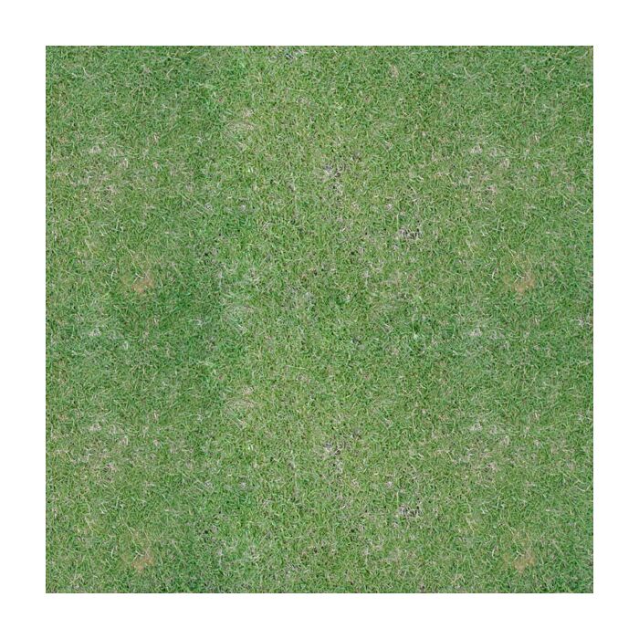Scrapbook Customs Grass Paper 12x12