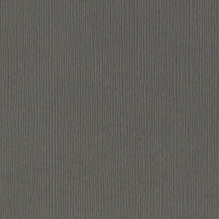 Bazzill Fourz Cardstock 12" Zinc