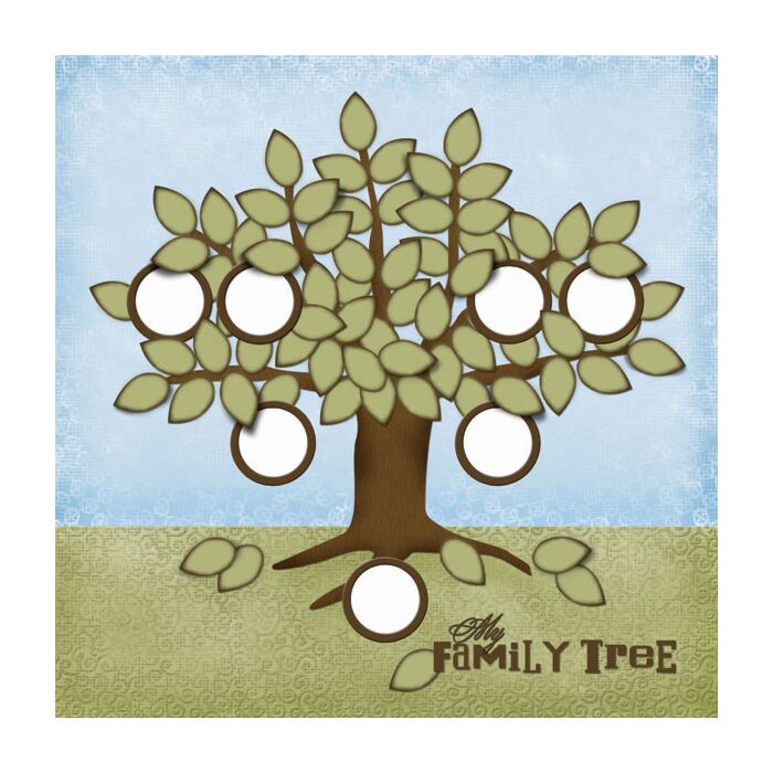 Scrapbook Customs - Single Sided Paper 12 x 12 - Family Tree Paper