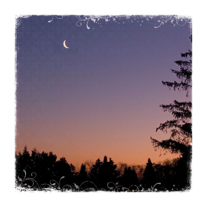 Preorder Scrapbook Customs New Moon Paper
