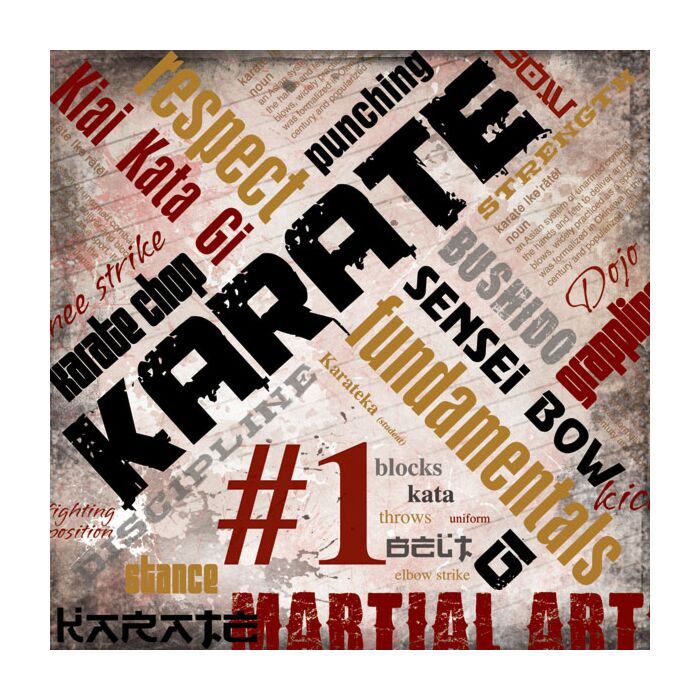 Scrapbook Customs - Karate Extreme (Paper 12 x 12)