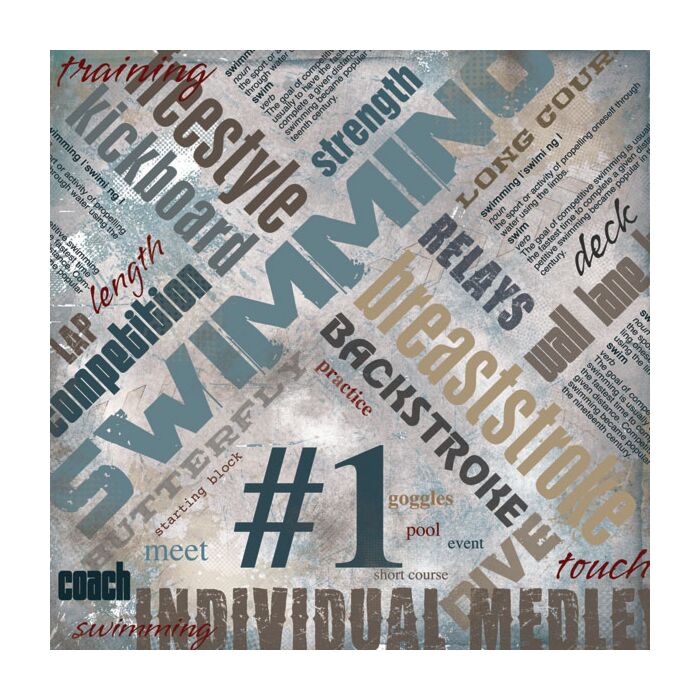 Scrapbook Customs Swimming Extreme Paper 12x12