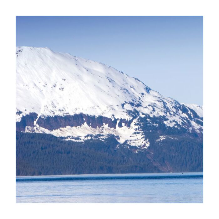 Scrapbook Customs ALASKAN CRUISE PAPER