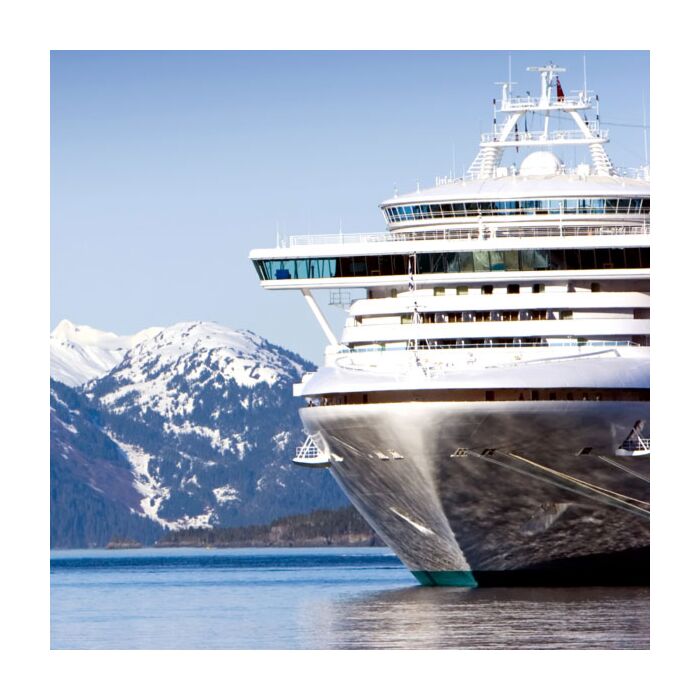 Scrapbook Customs ALASKAN CRUISE COMP. PAPER