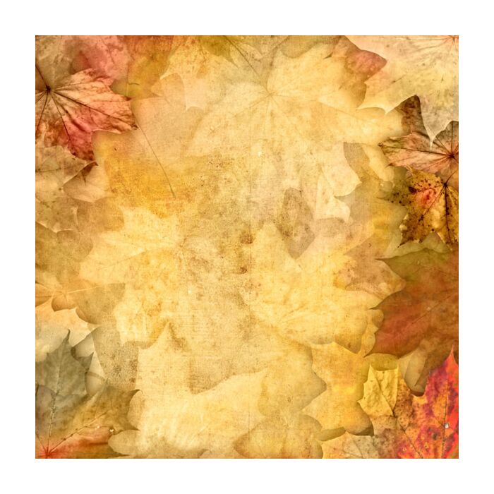 Scrapbook Customs - Single Sided Paper 12 x 12 - Vintage Leaves
