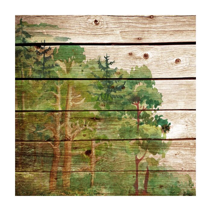 Scrapbook Customs WOOD PLANK FOREST 12x12 PAPER
