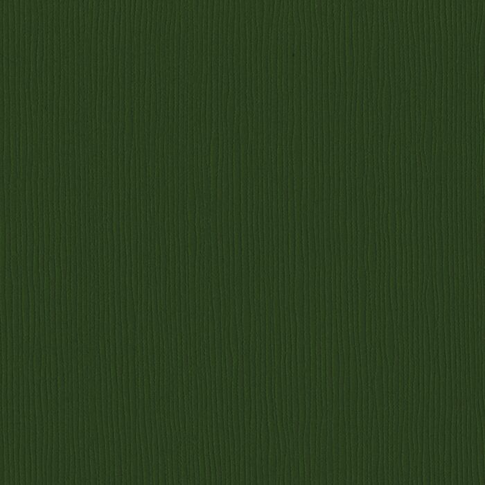Bazzill Fourz Cardstock 12" Avocado