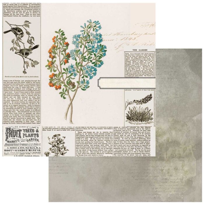 49 and Market Curators Botanical Double-Sided Cardstock 12"X12"-Garden Clippings