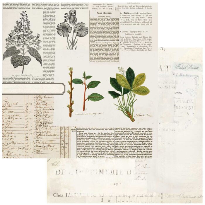 49 and Market Curators Botanical Double-Sided Cardstock 12"X12"-Florilegia