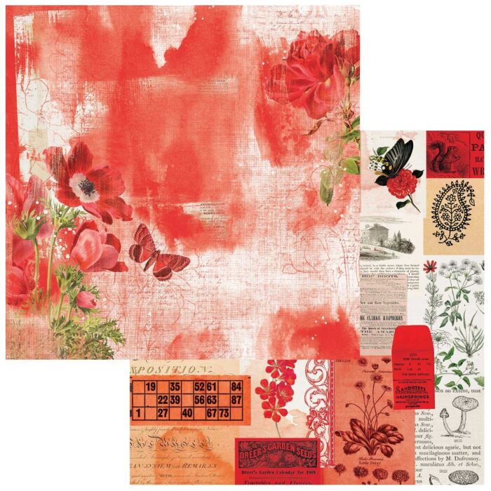 49 and Market Spectrum Gardenia Double-Sided Cardstock 12"X12"-Classics- Floral Blaze