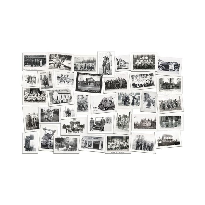 Idea-ology Snapshots (2022) by Tim Holtz