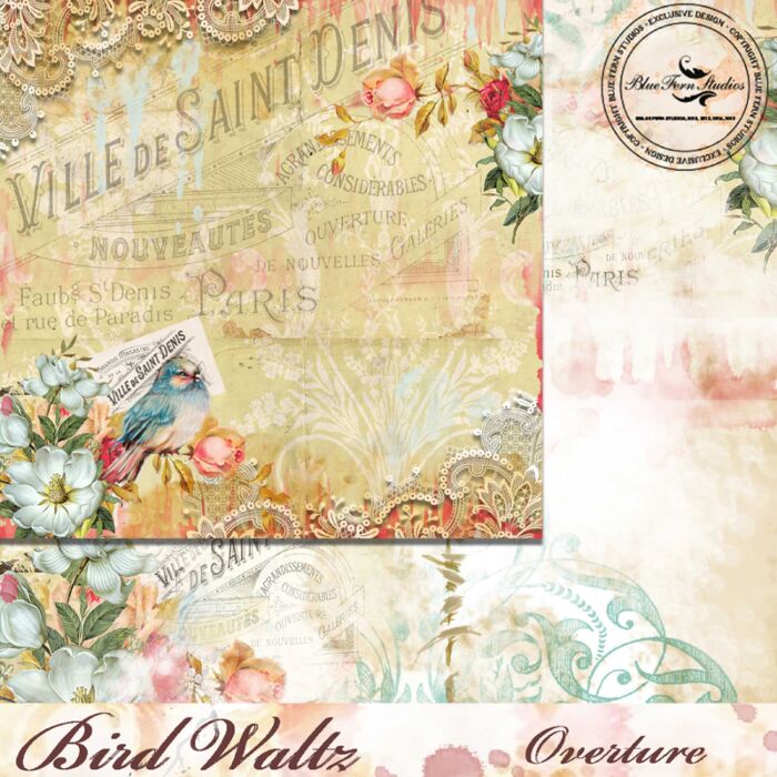 Blue Fern Studios - Bird Waltz 12x12 Paper - Overture