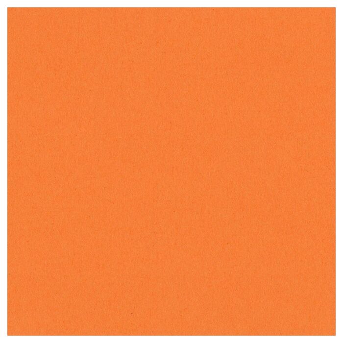Bazzill 12X12 Smoothies Cardstock
