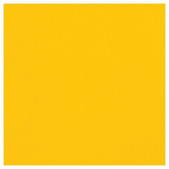 Bazzill 12X12 Smoothies Cardstock