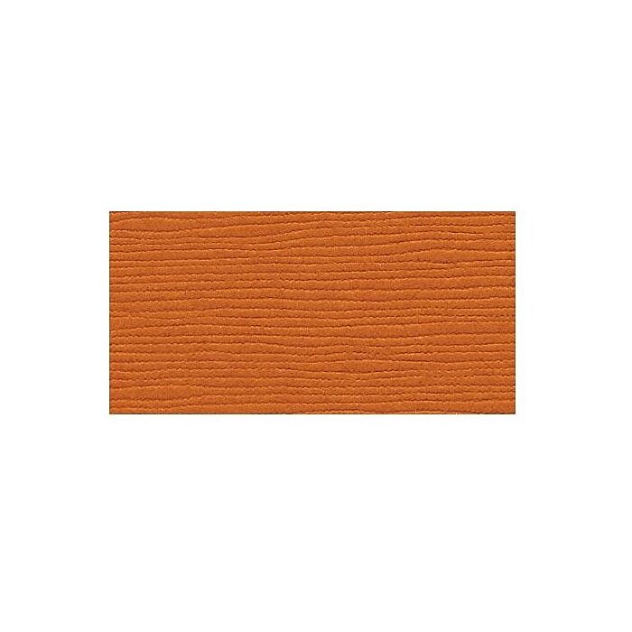 Bazzill Basics 12X12 Fourz Cardstock