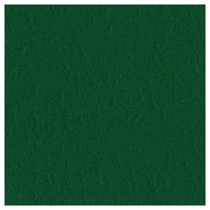 Bazzill 12x12 Mono Cardstock