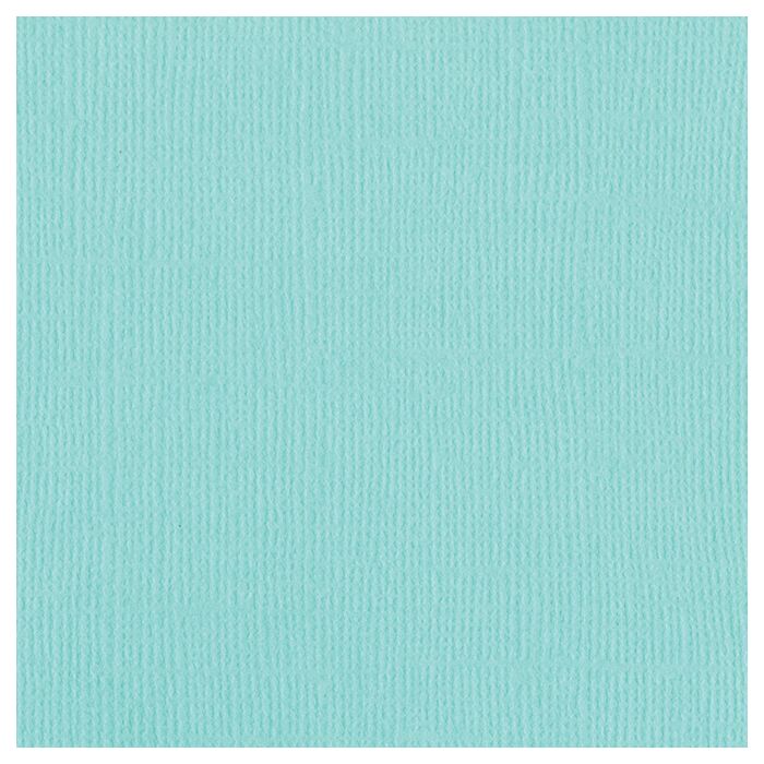 Bazzill 12x12 Mono Cardstock