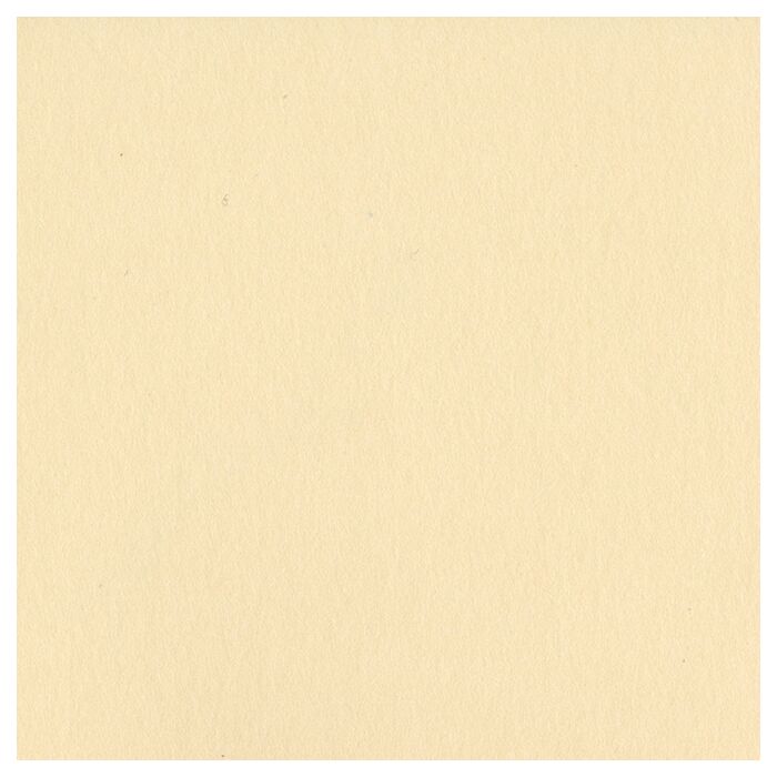 Bazzill Basics 12X12 Smoothies Cardstock
