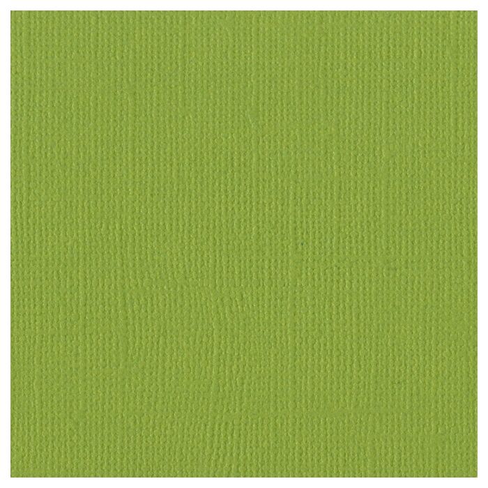 Bazzill Basics 12X12 Mono Cardstock