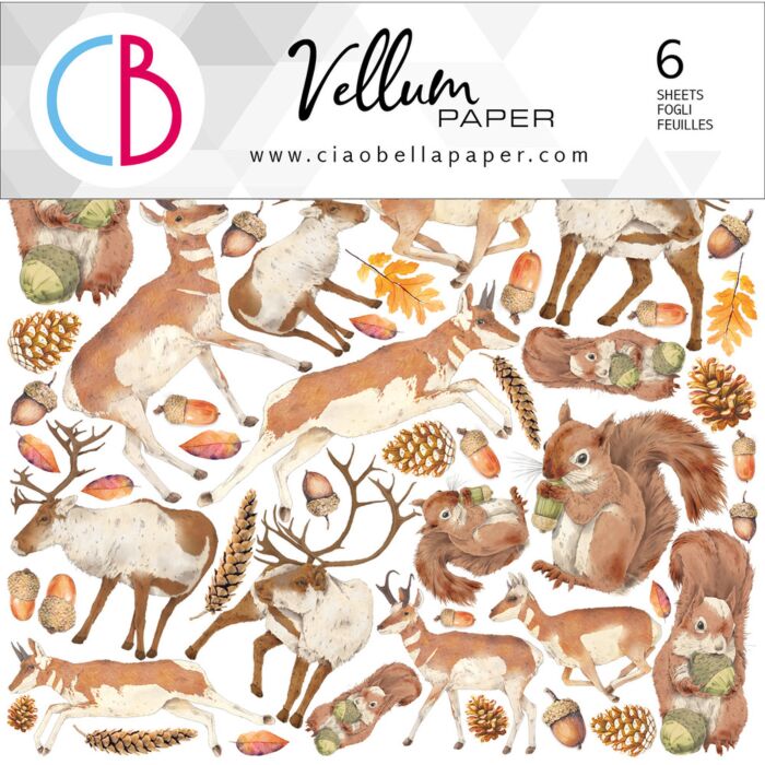 Ciao Bella 6X6 Fussy Cut Vellum Paper Pack