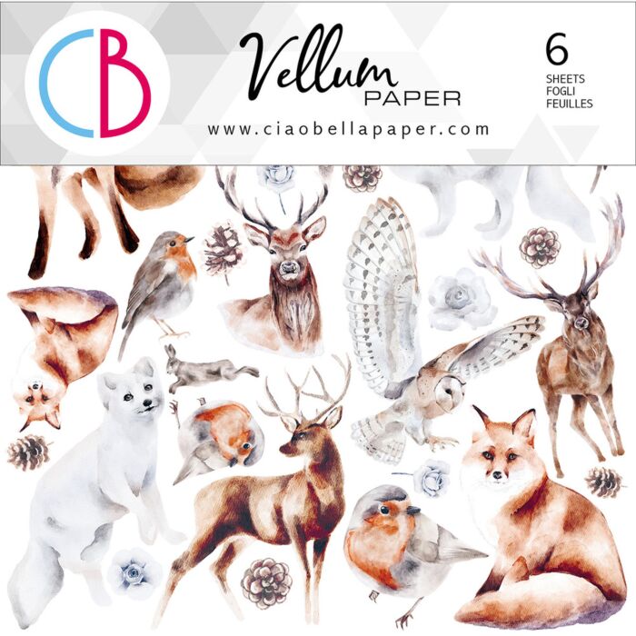 Ciao Bella 6X6 Fussy Cut Vellum Paper Pack
