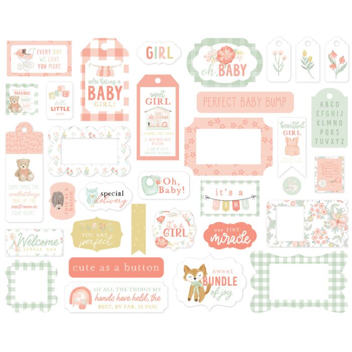 Echo Park Frames & Tags