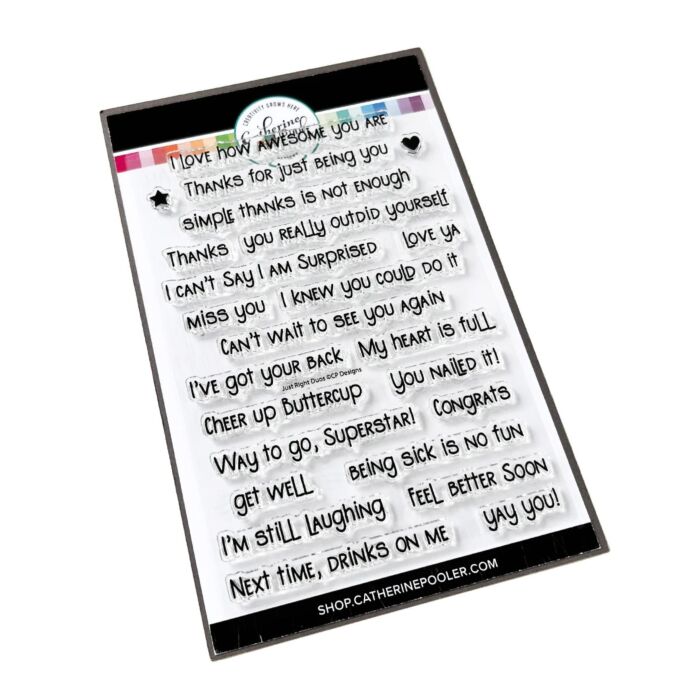 Catherine Pooler Stamp Set - Just Right Duos Sentiment