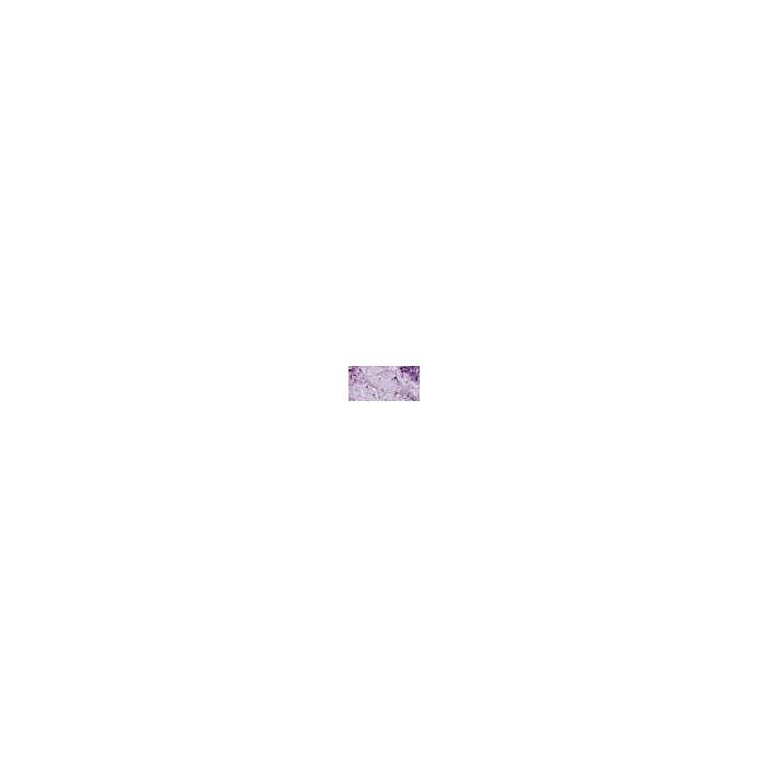 Nuvo Embellishment Mousse Lilac Lavender