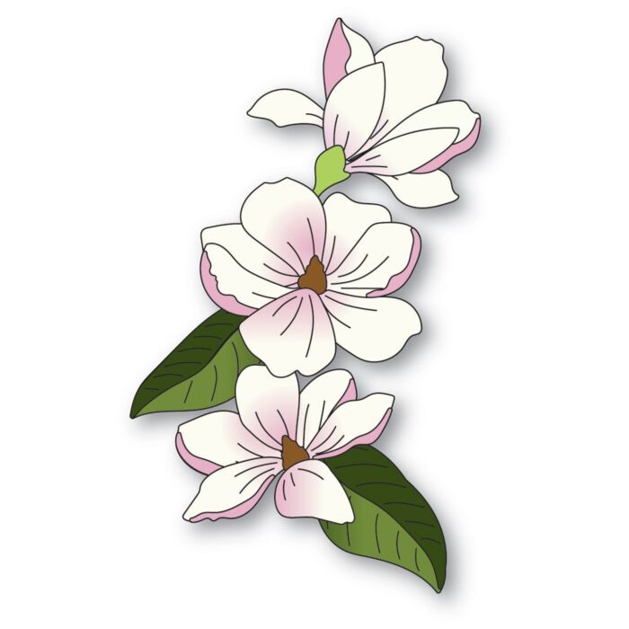 Memory Box Die