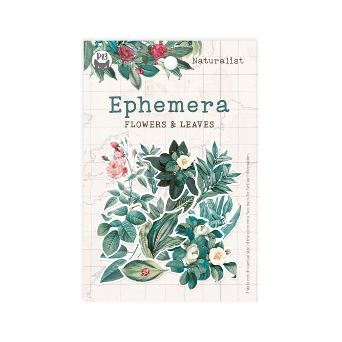 P13 Ephemera