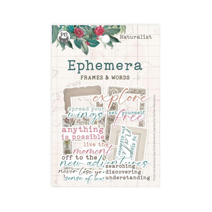 P13 Ephemera