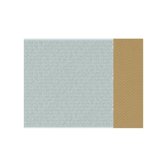 Kaisercraft 12X12 Patterned Paper