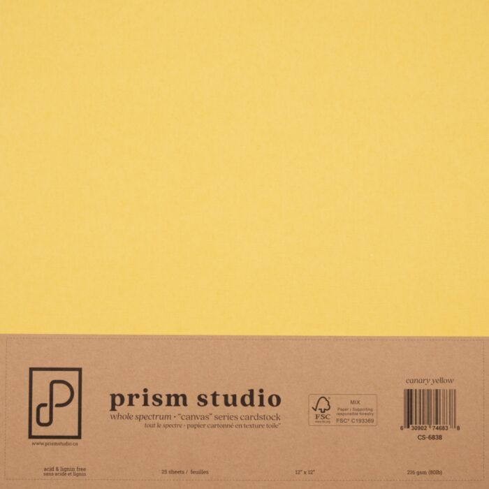 Pre-Order Prism Studio 12X12 Whole Spectrum "Canvas" Series Textured Cardstock