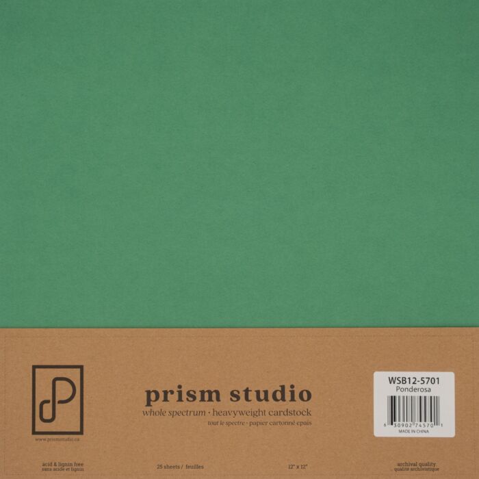 Pre-Order Prism Studio 12X12 Whole Spectrum Smooth Cardstock