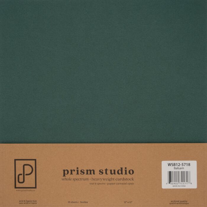 Prism Studio 12X12 Whole Spectrum Cardstock, Balsam (25 Sheets)