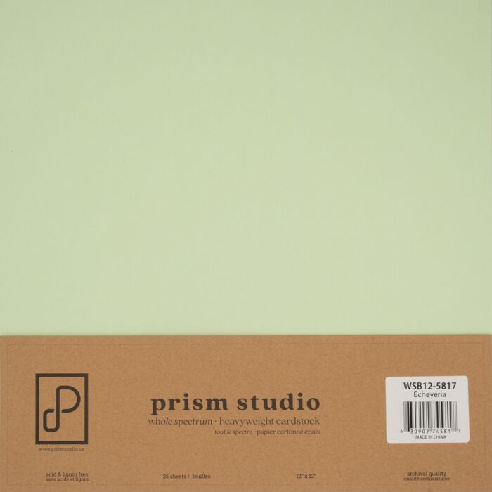 Pre-Order Prism Studio 12X12 Whole Spectrum Smooth Cardstock