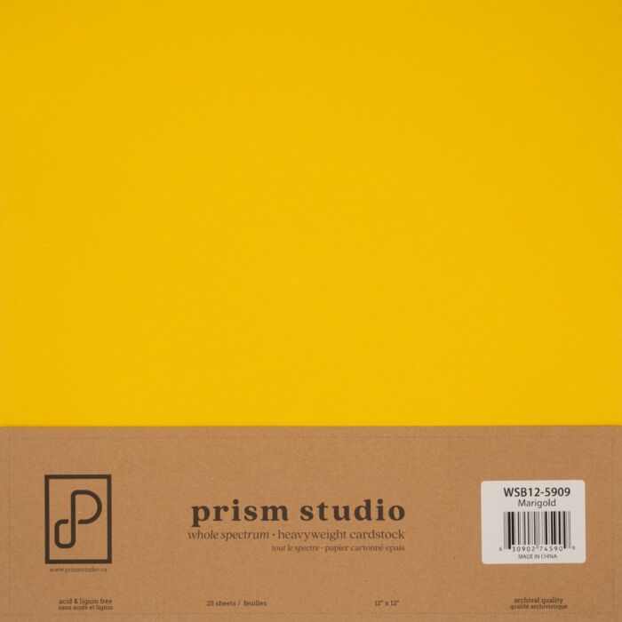 Pre-Order Prism Studio 12X12 Whole Spectrum Smooth Cardstock
