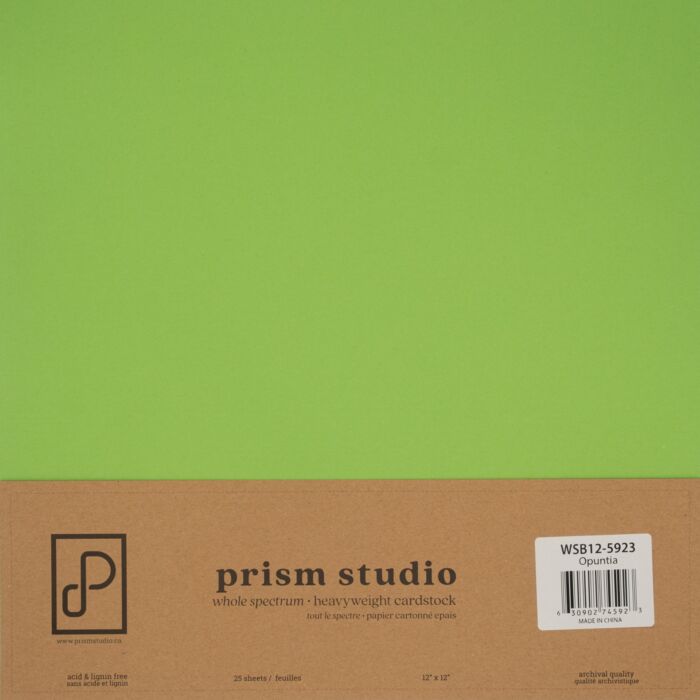 Pre-Order Prism Studio 12X12 Whole Spectrum Smooth Cardstock