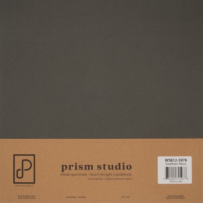 Prism Studio 12X12 Whole Spectrum Smooth Cardstock
