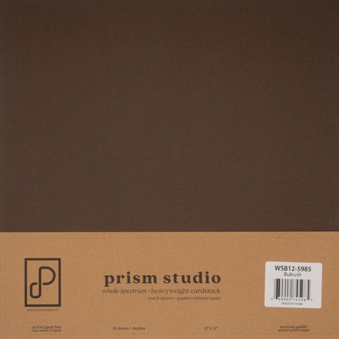 Prism Studio 12X12 Whole Spectrum Smooth Cardstock