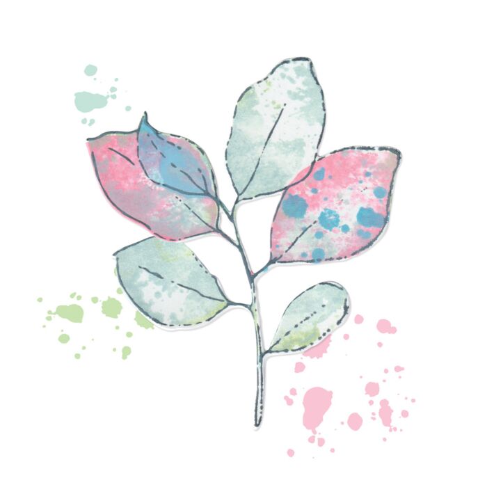 Sizzix Stamps w/Framelits