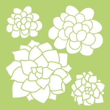 Kaisercraft Designer Template 6"X6" Succulents