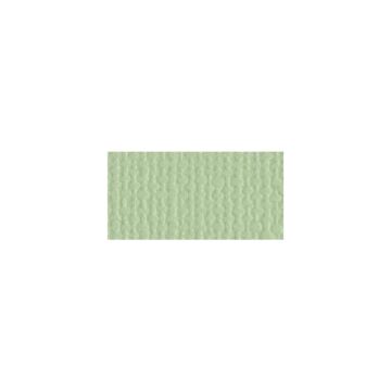 Bazzill Mono Cardstock 12"X12" Aloe Vera/Canvas