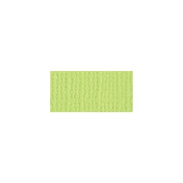 Bazzill Mono Cardstock 12"X12" Limeade/Canvas