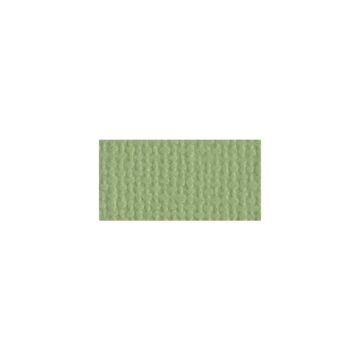 Bazzill Mono Cardstock 12"X12" Pear/Canvas