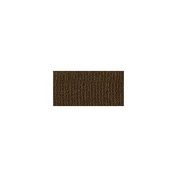 Bazzill Mono Cardstock 12"X12" Pinecone/Canvas