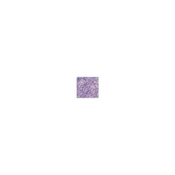 Ranger Stickles Glitter Glue .5oz Waterfall